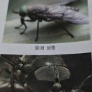하나방역 대구북부지사 이미지