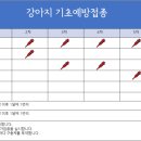 광화문동물병원 이미지