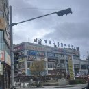 서래수산 | 소래포구전통어시장에서 쭈꾸미샤브샤브 게튀김 먹고온 행벅한 날