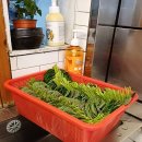 태릉입구역 6번출구 | 태릉입구역 장어 맛집★ 동생 졸업 겸 가족 외식 후기 [ 태릉풍천장어 ]