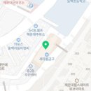 해운메디약국