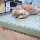 준영메디칼 이미지