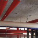 동양카독크 이미지