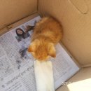 봉곡동042 이미지