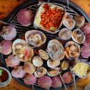 조개사랑 이미지