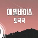 에델바이스 노래방 이미지