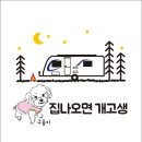 도둑골신규 이미지
