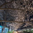 계양경기장 인라인스케이트장 이미지