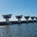 낙동강 따라 걷기36(최종회: 구포역-삼락생태공원-낙동강하구둑) 이미지