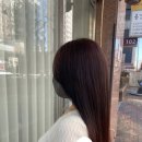 봄;보다 헤어살롱