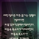 킴스 펫클리닉 이미지