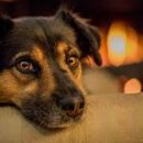 동부번역 이미지