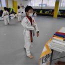 멘토 드림태권도장 이미지