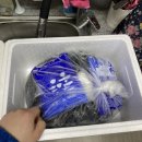 크로스핏 레스트 네이버블로그