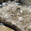 주소 맞은편 공원 이미지