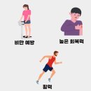 오너 복싱 이미지