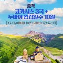앤쇼핑