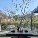 푸드스테이 | 서울 근교 대부도 감성숙소 음영스테이 숙박 후기(어메니티 불멍 자쿠지 넷플릭스)