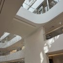 피버 | 여의도 더현대 러닝용 라이다 선글라스 피버 구매 후기