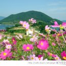 추봉도바다펜션 이미지