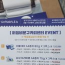 카피센타 이미지