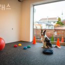 독클래스 이미지