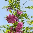 행운 - 군산시 번영로 953 | 행운