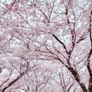 남원추어탕 횡단보도 이미지