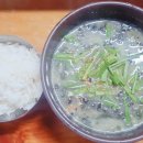훈이시락국 | 통영 허영만의 백반기행에 나온 훈이시락국, 솔직 후기