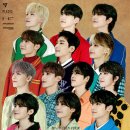 세븐틴 이미지