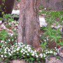 다리골가든 이미지