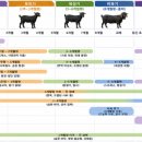 인의농장 | 염소의 생애주기별 사양관리 가이드라인