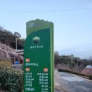 지리산숲속수목가옥 | 구례가 볼만한 곳 지리산 숲속 수목 가옥