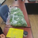 산야초영농조합 이미지