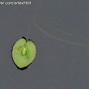 은송다방 이미지