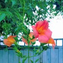 우림세탁소 이미지