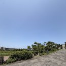 112 | 휘닉스 제주 - 힐리우스 112평 독채별장 후기