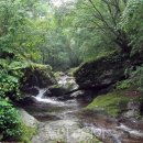 용소사계절 이미지