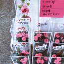 꽃가득해 | 별가람역 꽃집 꽃가득해 화병꽃다발 너무 예뻐
