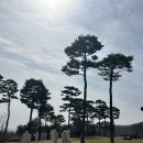 렉스필드 컨트리클럽 | [후기모음] 렉스필드 골프장(CC)