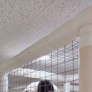 카페프라이빗 | [의정부키즈룸] 큐리키즈룸 후기｜고산동키즈카페·프라이빗 공간에서 아이와 제대로 놀기