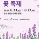 서천 맥문동 축제 꽃축제 장항송림산림욕장 충청도 서천 가볼만한곳 이미지