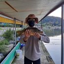 은성낚시공원 이미지