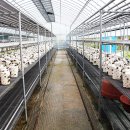 청봉 농장 이미지