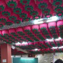 산호제일약국 이미지