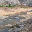 다문1리 이미지