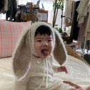 [ 군산 - 스튜디오 본 ] 아기300일, 돌촬영후기 / 가족사진촬영까지 (사진많음주의)