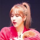 빼꼼낼름 이미지