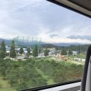 은초롱펜션 | 강릉 여행 :: 세인트존스 펫 룸 - 애견동반 호텔, KTX