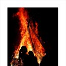 대차리 남대천변 이미지